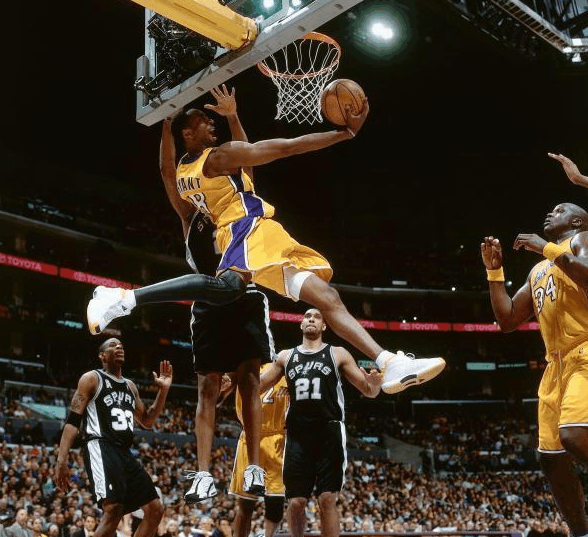 的职业运动 的职业运动