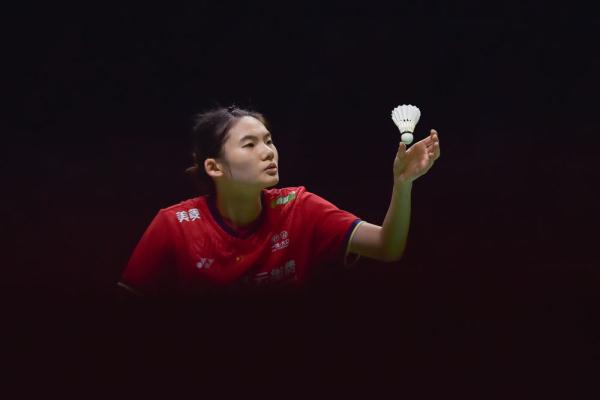 维斯塔潘的 维斯塔潘的